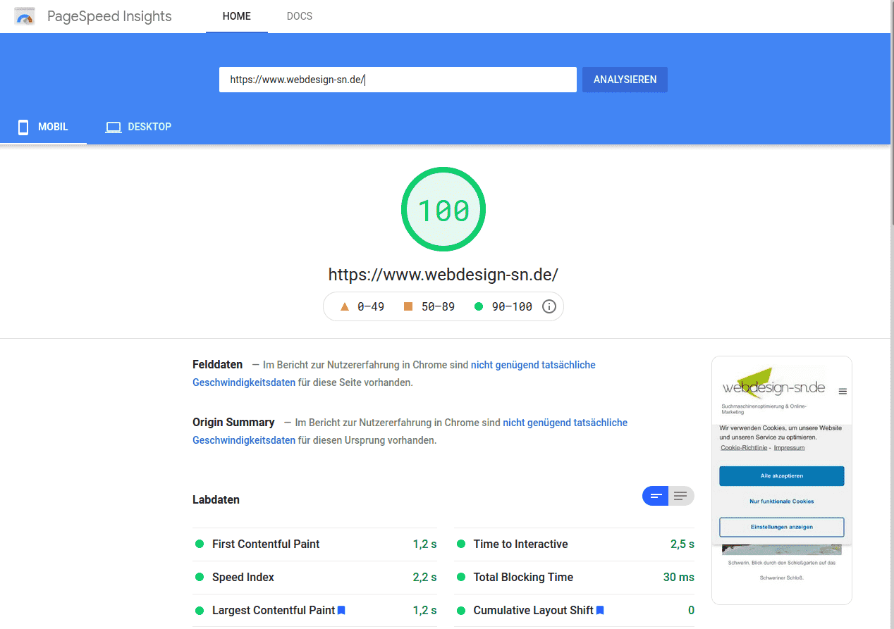Webdesign Schwerin - Google Page Speed Insights Ergebnis
